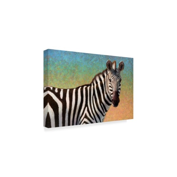 James W. Johnson 'Portrait Of A Zebra' Canvas Art,22x32